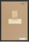 Pleurostauron frauenfeldianum Grun. (de-Toni-Nr.: Genus 7, Species 972) Zeichnungen Sammlung Grunow Nr. 1843 (NHMW-BOT-W0368776)
